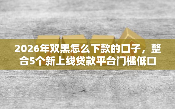 2026年双黑怎么下款的口子，整合5个新上线贷款平台门槛低口子