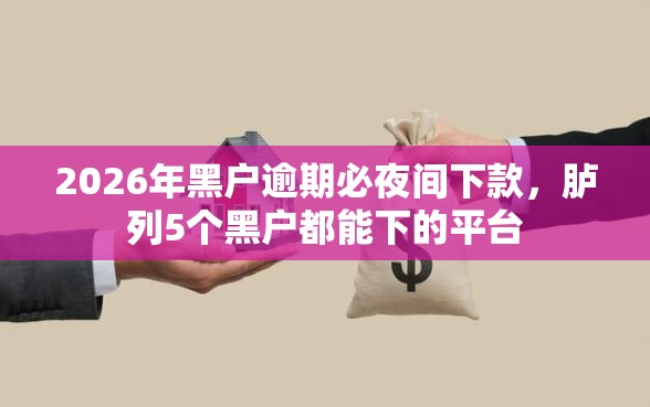 2026年黑户逾期必夜间下款，胪列5个黑户都能下的平台