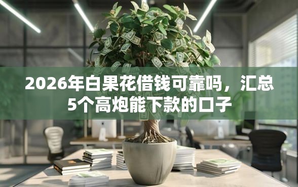 2026年白果花借钱可靠吗，汇总5个高炮能下款的口子