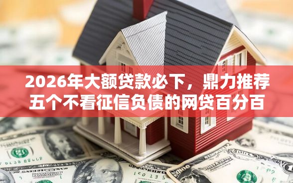 2026年大额贷款必下，鼎力推荐五个不看征信负债的网贷百分百下款口子