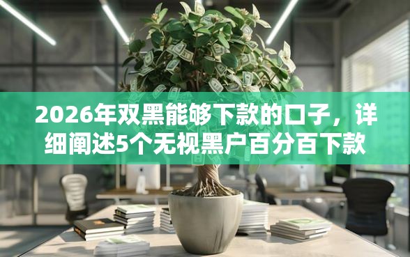 2026年双黑能够下款的口子，详细阐述5个无视黑户百分百下款平台