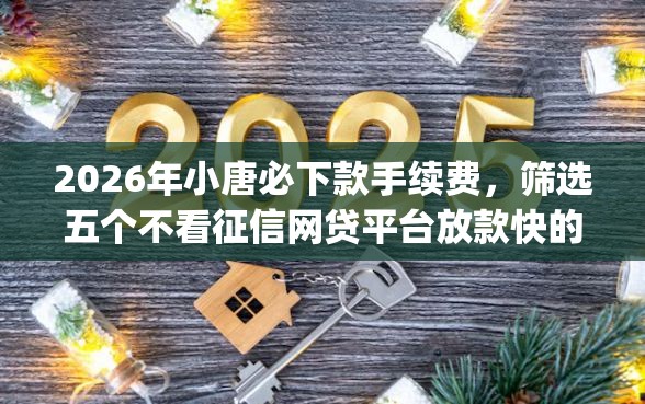 2026年小唐必下款手续费，筛选五个不看征信网贷平台放款快的app