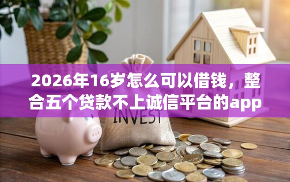 2026年16岁怎么可以借钱，整合五个贷款不上诚信平台的app