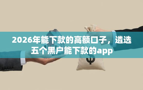 2026年能下款的高额口子，遴选五个黑户能下款的app