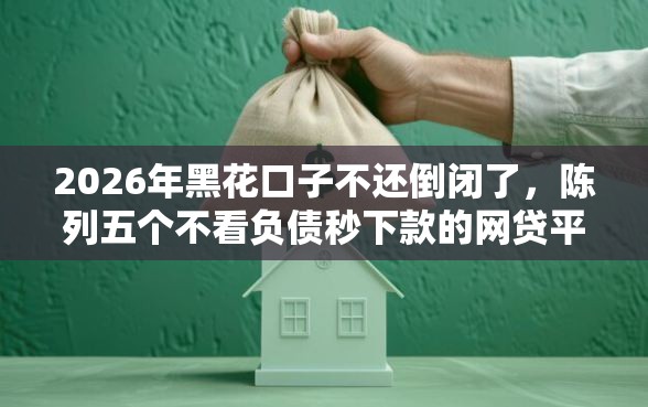 2026年黑花口子不还倒闭了，陈列五个不看负债秒下款的网贷平台