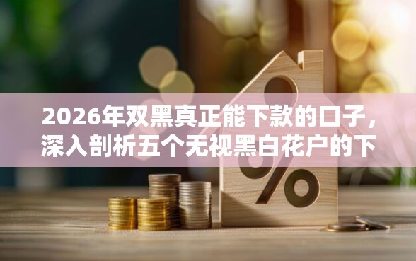 2026年双黑真正能下款的口子，深入剖析五个无视黑白花户的下款口子