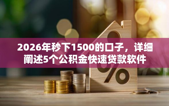 2026年秒下1500的口子，详细阐述5个公积金快速贷款软件