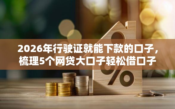 2026年行驶证就能下款的口子，梳理5个网贷大口子轻松借口子