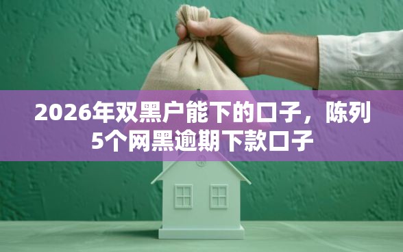 2026年双黑户能下的口子，陈列5个网黑逾期下款口子