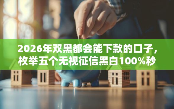 2026年双黑都会能下款的口子，枚举五个无视征信黑白100%秒下网贷软件