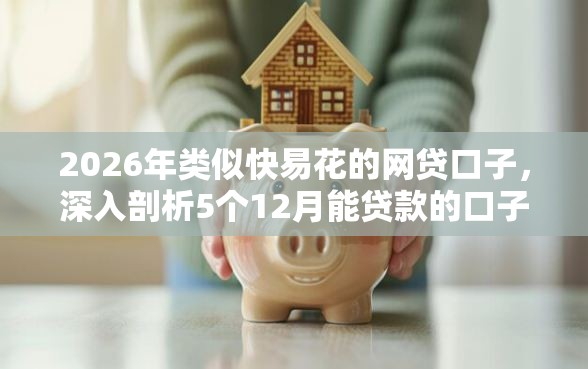 2026年类似快易花的网贷口子，深入剖析5个12月能贷款的口子