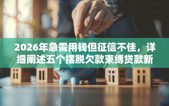 2026年急需用钱但征信不佳，详细阐述五个摆脱欠款束缚贷款新软件