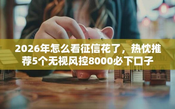 2026年怎么看征信花了，热忱推荐5个无视风控8000必下口子