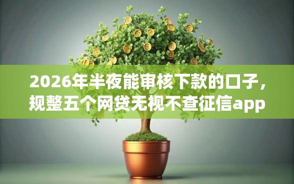 2026年半夜能审核下款的口子，规整五个网贷无视不查征信app