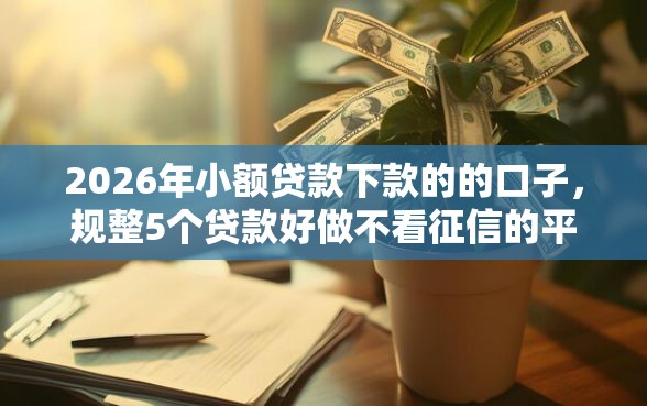2026年小额贷款下款的的口子，规整5个贷款好做不看征信的平台