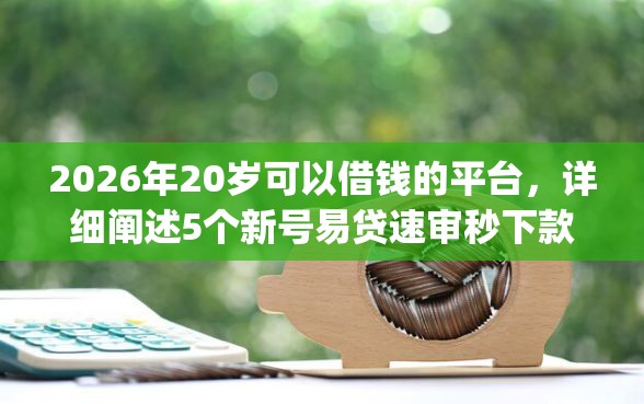 2026年20岁可以借钱的平台，详细阐述5个新号易贷速审秒下款app