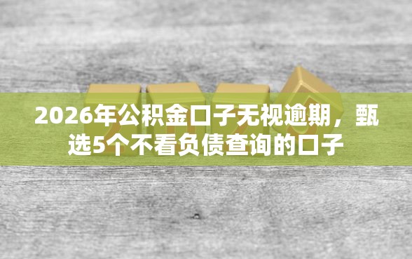 2026年公积金口子无视逾期，甄选5个不看负债查询的口子