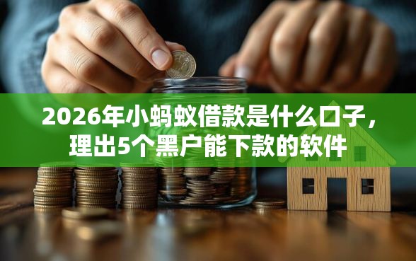 2026年小蚂蚁借款是什么口子，理出5个黑户能下款的软件