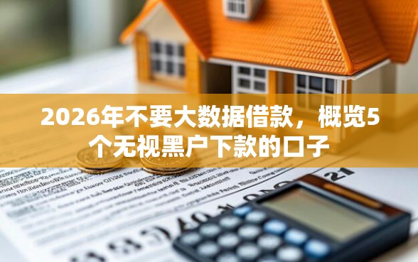 2026年不要大数据借款，概览5个无视黑户下款的口子