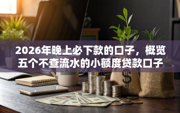 2026年晚上必下款的口子，概览五个不查流水的小额度贷款口子