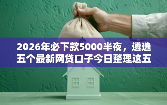 2026年必下款5000半夜，遴选五个最新网贷口子今日整理这五个口子
