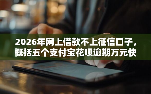 2026年网上借款不上征信口子，概括五个支付宝花呗逾期万元快速贷款口子
