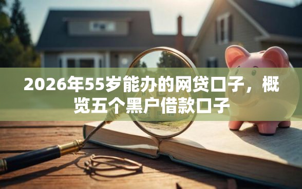 2026年55岁能办的网贷口子，概览五个黑户借款口子
