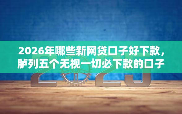 2026年哪些新网贷口子好下款，胪列五个无视一切必下款的口子