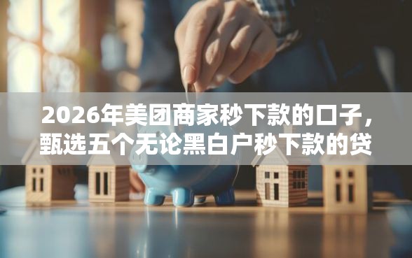 2026年美团商家秒下款的口子，甄选五个无论黑白户秒下款的贷款平台