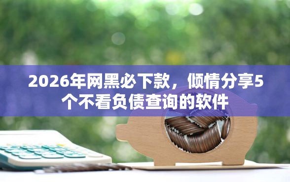 2026年网黑必下款，倾情分享5个不看负债查询的软件