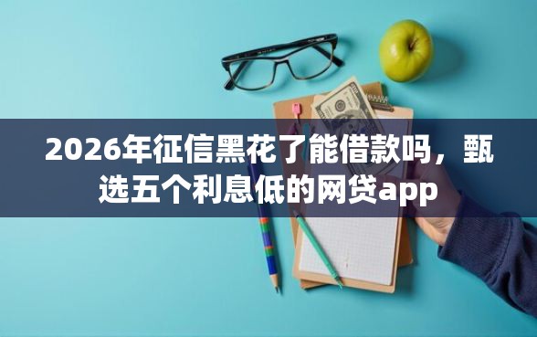 2026年征信黑花了能借款吗，甄选五个利息低的网贷app