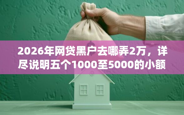2026年网贷黑户去哪弄2万,详尽说明五个1000至5000的小额贷款app 2026年网贷黑户去哪弄2万,详尽说明五个1000至5000的小额贷款app