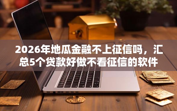 2026年地瓜金融不上征信吗，汇总5个贷款好做不看征信的软件