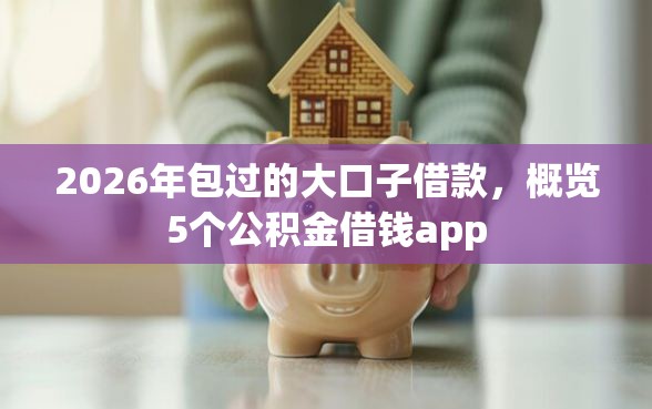 2026年包过的大口子借款，概览5个公积金借钱app