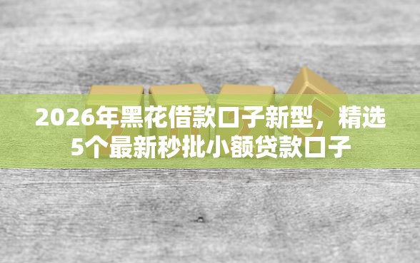 2026年黑花借款口子新型，精选5个最新秒批小额贷款口子
