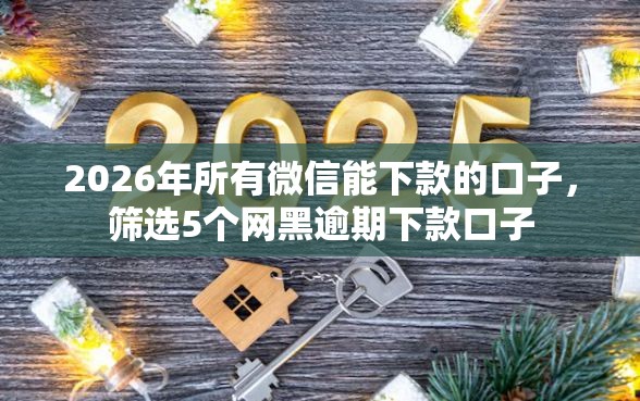 2026年所有微信能下款的口子，筛选5个网黑逾期下款口子