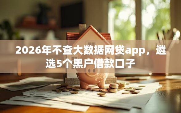 2026年不查大数据网贷app，遴选5个黑户借款口子