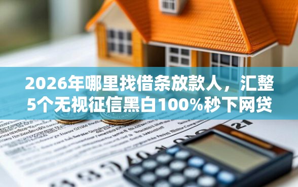 2026年哪里找借条放款人，汇整5个无视征信黑白100%秒下网贷软件