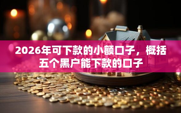2026年可下款的小额口子，概括五个黑户能下款的口子