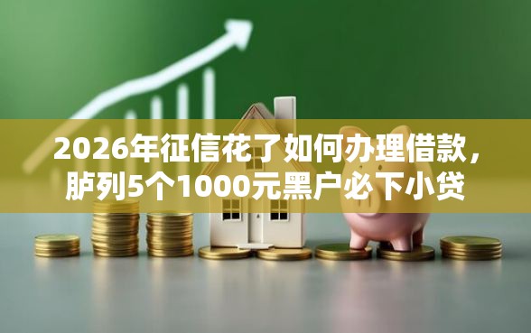 2026年征信花了如何办理借款，胪列5个1000元黑户必下小贷