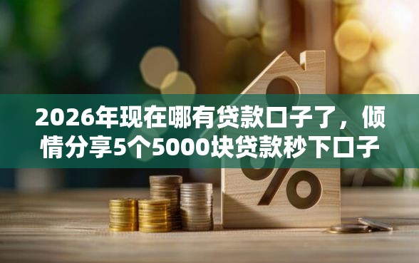 2026年现在哪有贷款口子了，倾情分享5个5000块贷款秒下口子