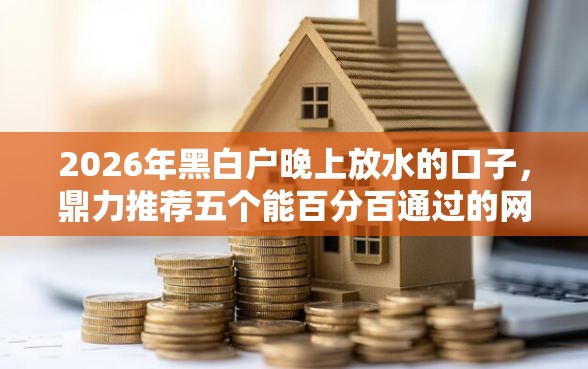 2026年黑白户晚上放水的口子，鼎力推荐五个能百分百通过的网贷口子