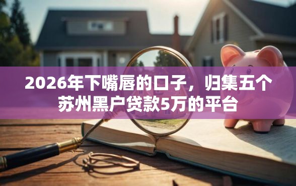 2026年下嘴唇的口子，归集五个苏州黑户贷款5万的平台