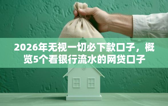2026年无视一切必下款口子，概览5个看银行流水的网贷口子
