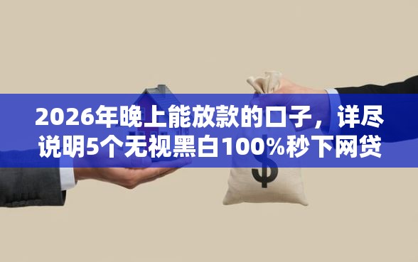 2026年晚上能放款的口子，详尽说明5个无视黑白100%秒下网贷小额夜间口子
