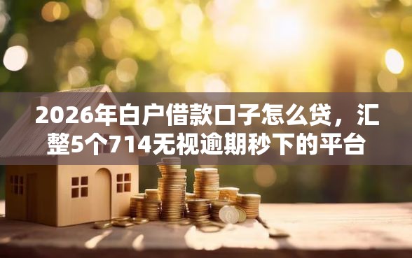 2026年白户借款口子怎么贷，汇整5个714无视逾期秒下的平台