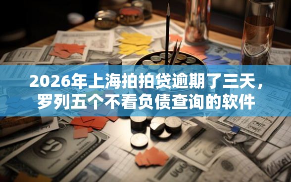 2026年上海拍拍贷逾期了三天，罗列五个不看负债查询的软件