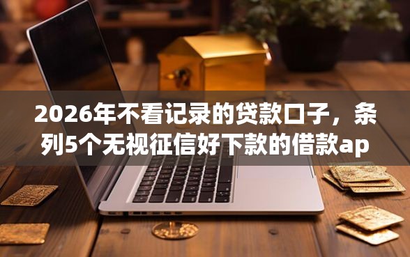 2026年不看记录的贷款口子，条列5个无视征信好下款的借款app
