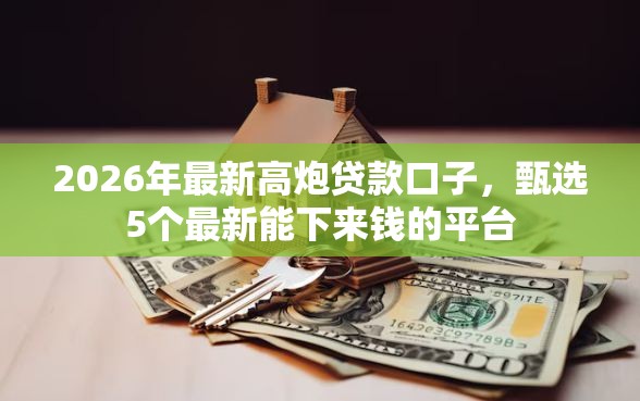 2026年最新高炮贷款口子，甄选5个最新能下来钱的平台