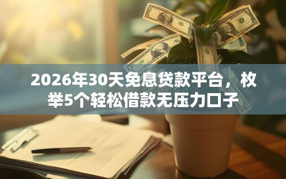 2026年30天免息贷款平台，枚举5个轻松借款无压力口子